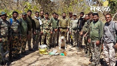 Explosives seized from Soyagatoli forest in Gondia
