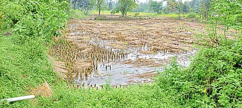 Heavy rains expected in Gondia district till Saturday