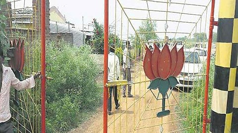 100 more cows found dead in chhattisgarhs gaushalas BJP leader arrested