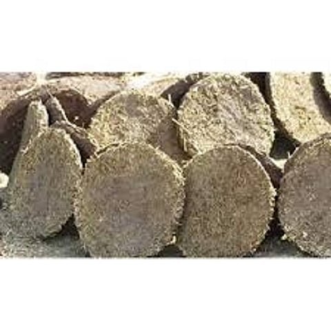 Gowars are still used for cooking in rural areas Gadchiroli news