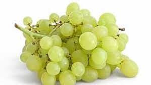 grapes.jpg