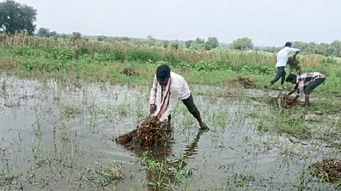 दमदार पावसाची हजेरी; मराठवाड्याला पुन्हा तडाखा