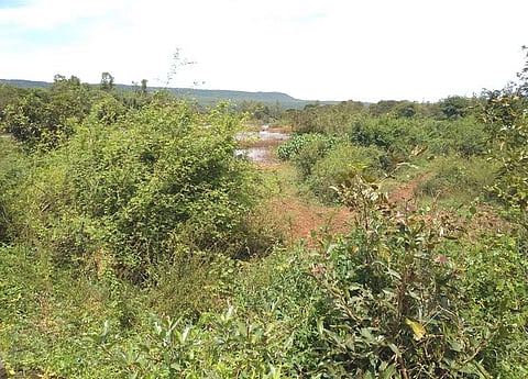 Sludge In Hiranyakeshi River Basin Kolhapur Marathi News