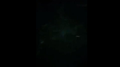 viral video on screaming from hospital know truth behind this video at indore