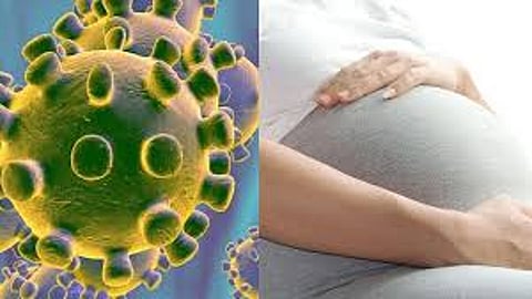 Fear of Corona at Nachanvel