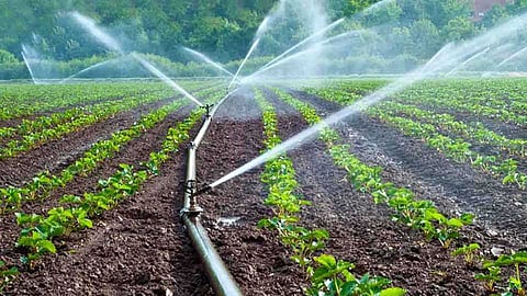 Subsidy for Drip Irrigation