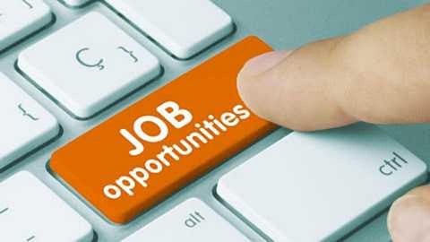 job Opportunities