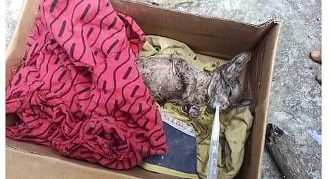 पुण्यात ऑपरेशन मनी यशस्वी; काय आहे प्रकार वाचा सविस्तर