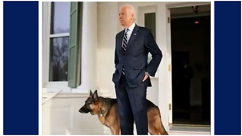joe biden with dog.jpg