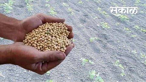 बोगस ज्वारी बियाण्याच्या प्रश्नावर आमदारांनी घेतली कृषिमंत्र्यांची भेट