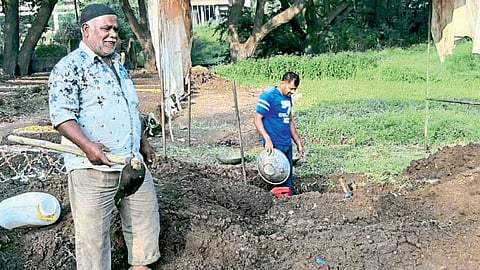 Their Friendship With The Cemetery In Kolhapur Marathi News