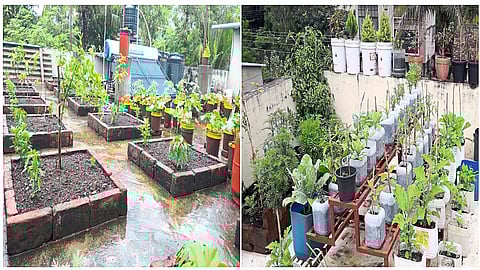 If you want to see the farm on the terrace, this is the place