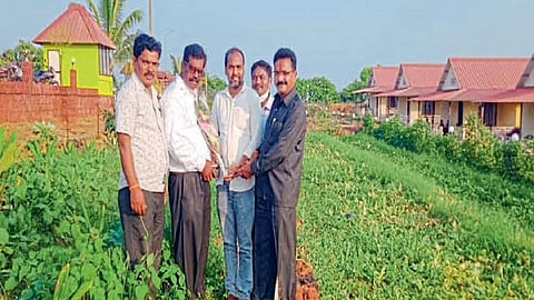success story of farmer in gavtale ratnagiri watermelon farming