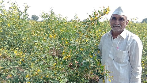 Akola Marathi News- Progressive farmer Vitthal Thombre from Kanheri earned huge income from agriculture