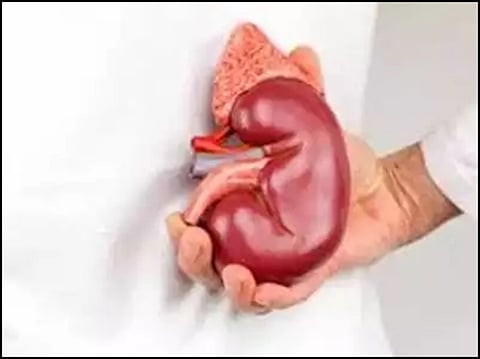 आहो काय सांगतात...चक्क नगरसेवक विकणार किडणी; कुठे, कशासाठी ! मग वाचा...