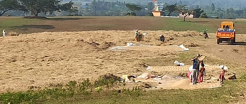 Difficulties In Farming Due To Flooding In The Field Kolhapur Marathi News