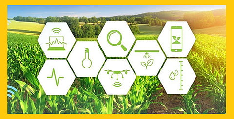 Akola marks the youth of the agricultural sector, the highway of sustainable employment passes through agriculture