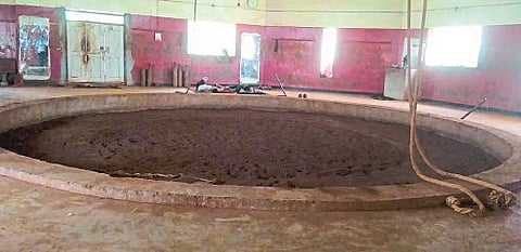 corona virus affected the wrestling field also