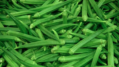 फिटनेस जपायचाय, भेंडीचे पाणी प्या!