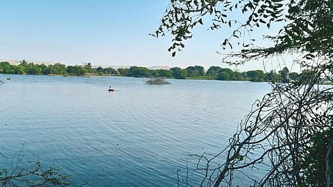 Satara Latest Marathi News