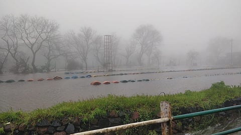 पश्चिम भागात पावसाचा जोर कायम, सातारा जिल्ह्यातील धरणांचा पाणीसाठा 50 टक्य्यांनी वाढला