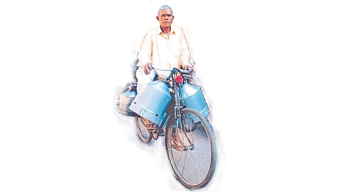 Seventy-five years Age Person Doing Milk Seller Kolhapur Marathi News