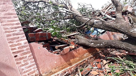 Natural disaster Zilla Parishad schools lost crores of rupees destroy