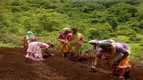 Large scale migration from Mandangad taluka for employment