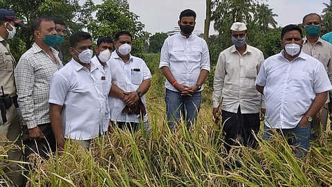 crop damage inspection tour on mp dhairyasheel mane