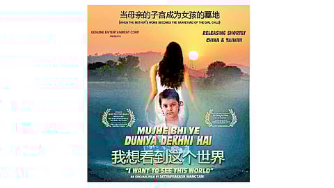 मराठी चित्रपटाचा हिंदी रिमेक चीनमध्ये