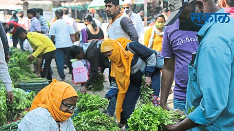 भेंडी, टोमॅटो, मटार, पावट्याच्या भावात वाढ