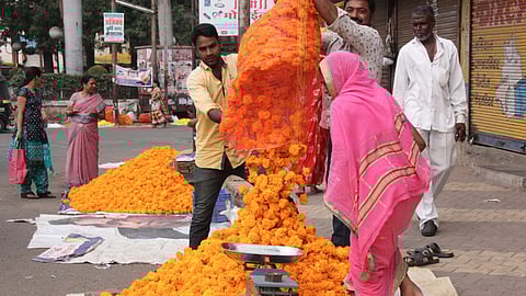 साताऱ्यात झेंडू फुलांची रेलचेल