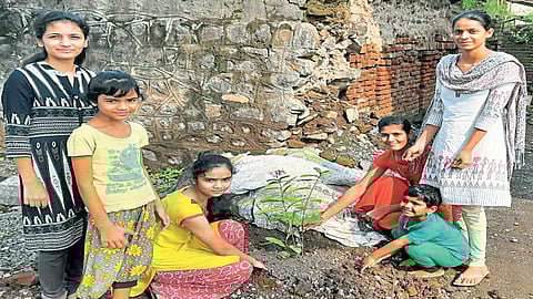 फुलांच्या सुगंधाने दरवळणार शेरे; 'माउली'कडून तब्बल 1800 फुलझाडांचे रोपण