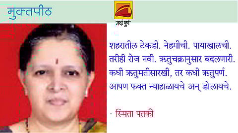 smita patki write article in muktapeeth