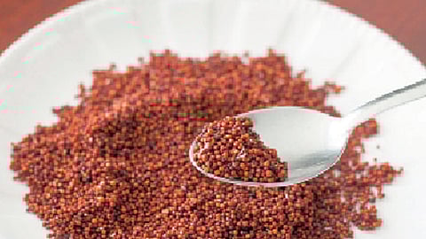 भारतीय पोषण खजिना : सत्त्वगुणी नाचणी