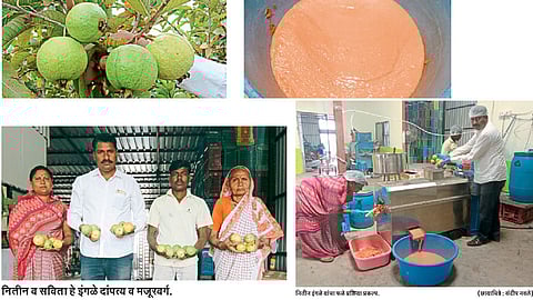 दर पडले? चिंता नको ! इंगळे घेऊन आले प्रक्रिया तंत्र