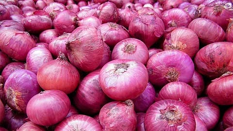 onion sale Police action sateli bhedshi konkan sindhudurg