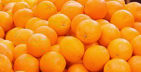 Orange prices plummeted due to lack of demand