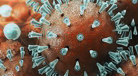 Settlement for Janata Curfew kolhaur marathi news