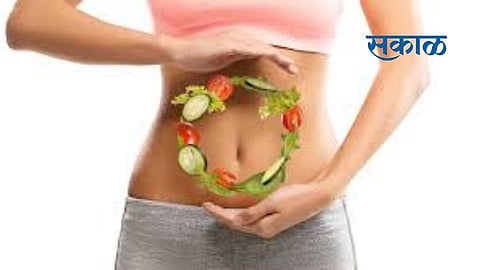 जाणून घ्या : 5 औषधी वनस्पती आपल्या पचनक्रिया ठेवतात तंदुरुस्त