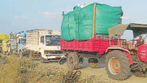 parbhani-cotton