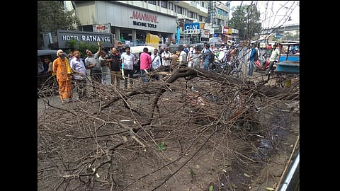 passengers were injured when a tree fell on a bus stop in pimpri