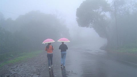 Satara Latest Marathi News