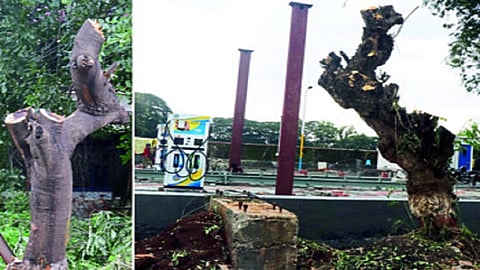 police petrolpump.jpg