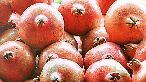 pomegranates