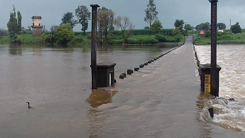 Rains continued yesterday and today in the kolhapur district  Increase in water level of rivers in the district including Panchganga