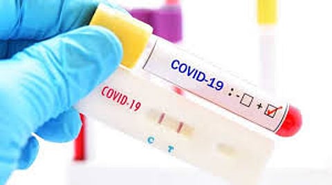 rapid antigen test.jpg