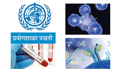 rapid diagnostic test