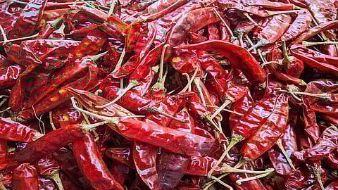 red-chilli