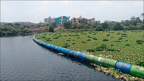 आळंदी (ता. खेड) ः जलपर्णी रोखण्यासाठी सिद्धबेट बंधाऱ्यातील पाण्यात नगरपालिकेने दोरीच्या साहाय्याने आडवे बांधण्यात आलेले प्लॅस्टिकचे ड्रम.